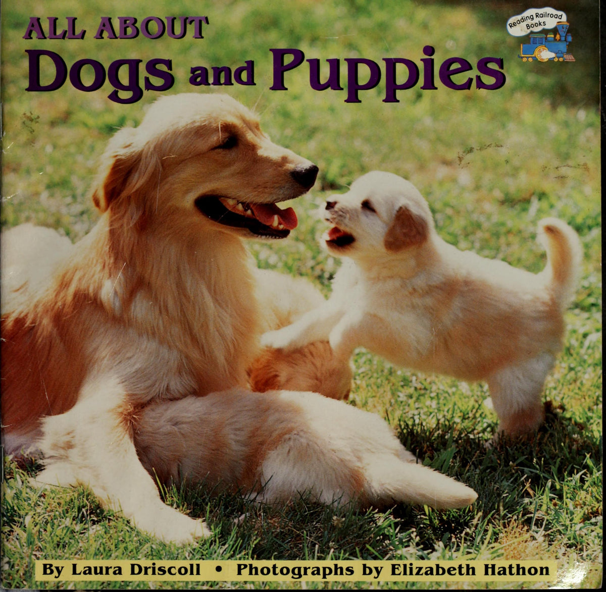 All about Dogs and Puppies