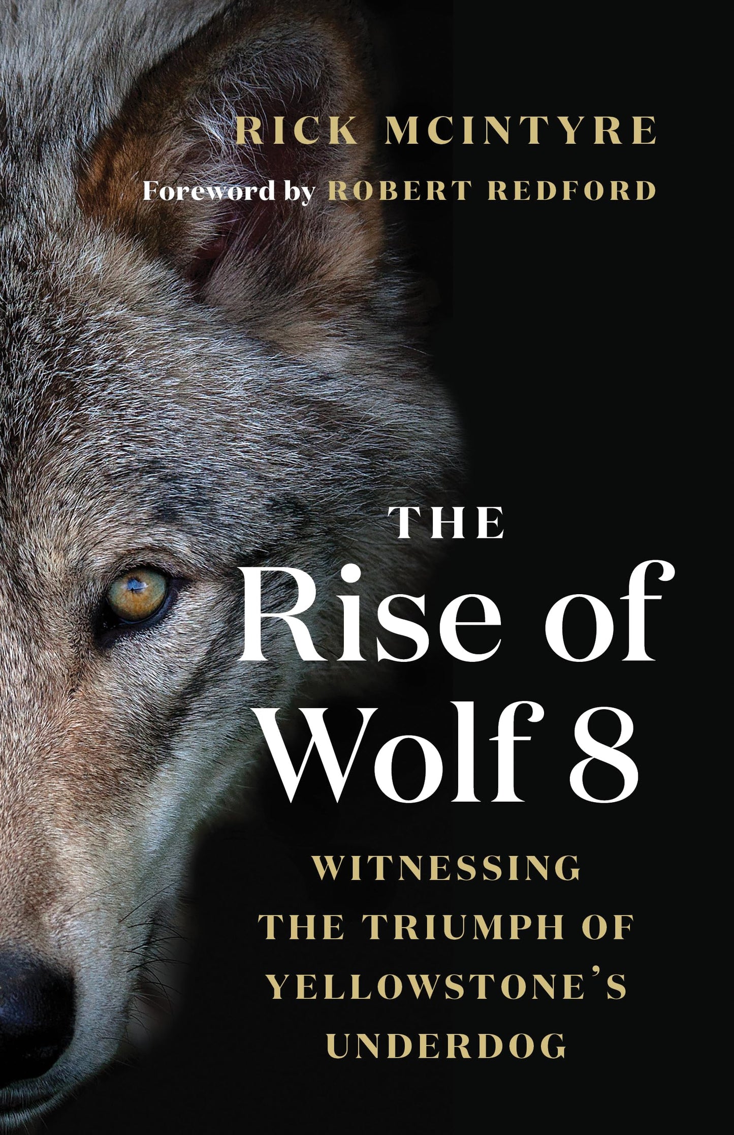 The Rise of Wolf 8: Witnessing the Triumph of Yellowstone's Underdog (The Alpha Wolves of Yellowstone, 1)