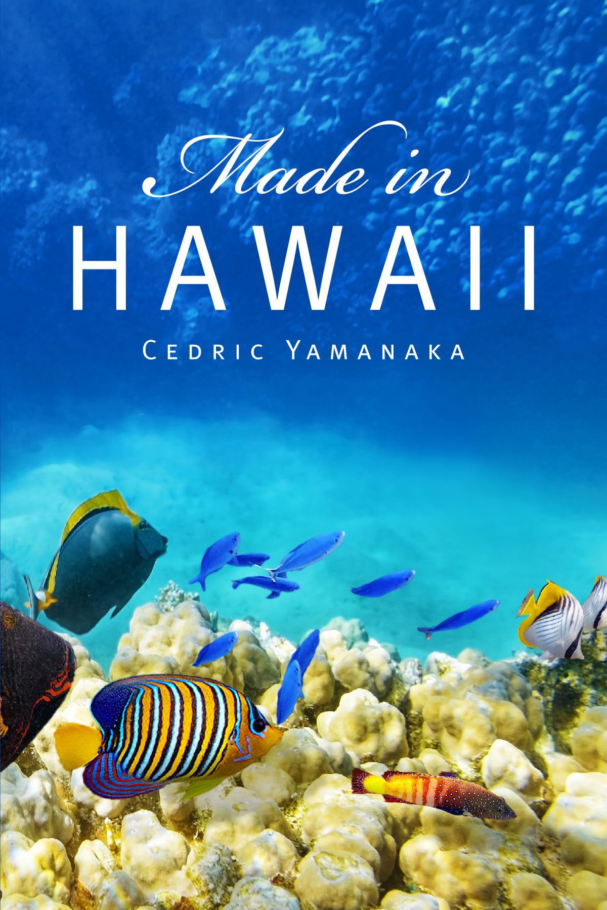 Made in Hawaii (World Prose)
