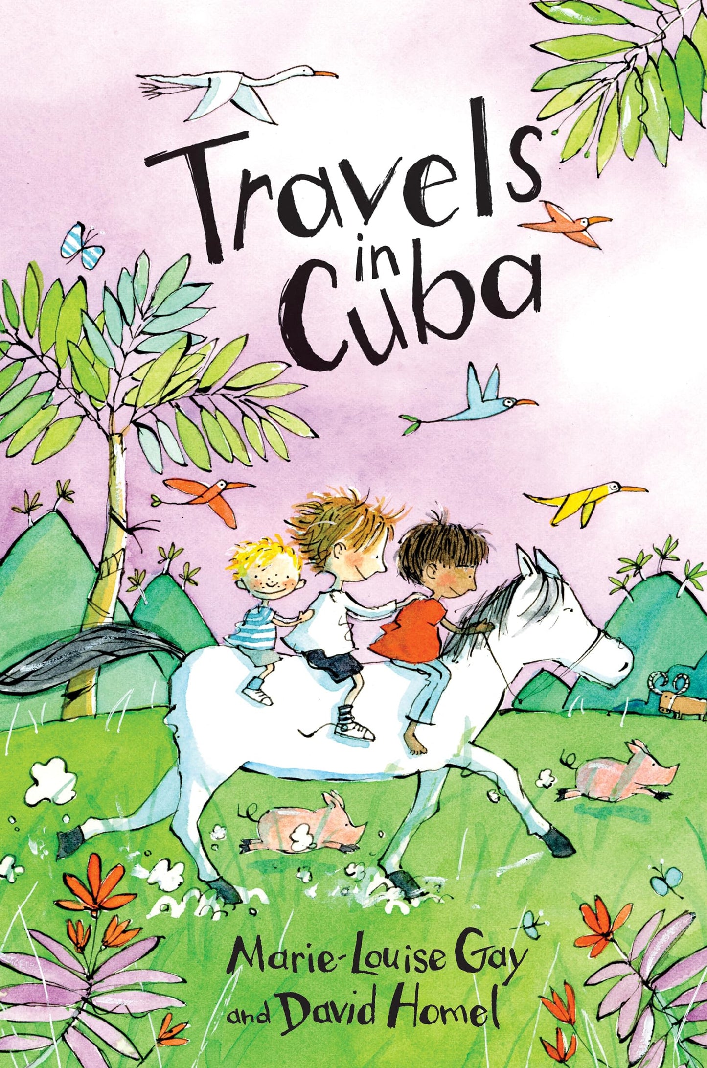 Travels in Cuba (Travels with My Family, 5)