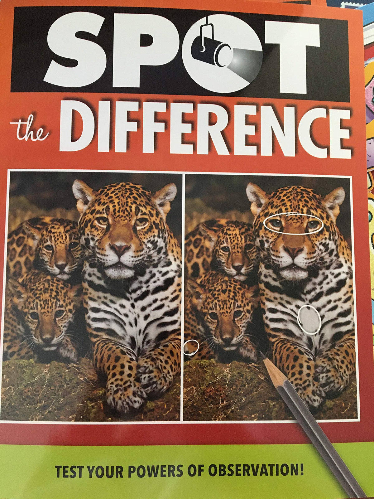 Spot The Difference - Test Your Powers of Observation