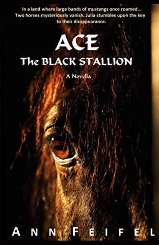 Ace, The Black Stallion (Mystery Horse Lover's) - 4604