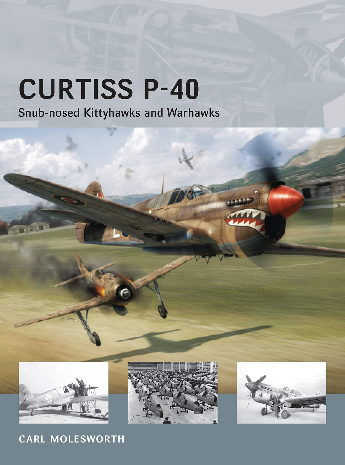Curtiss P-40: Snub-nosed Kittyhawks and Warhawks (Air Vanguard)