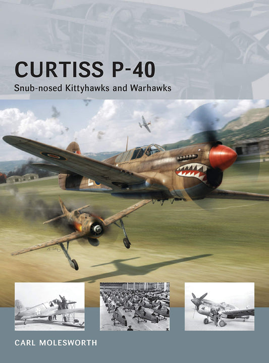 Curtiss P-40: Snub-nosed Kittyhawks and Warhawks (Air Vanguard)