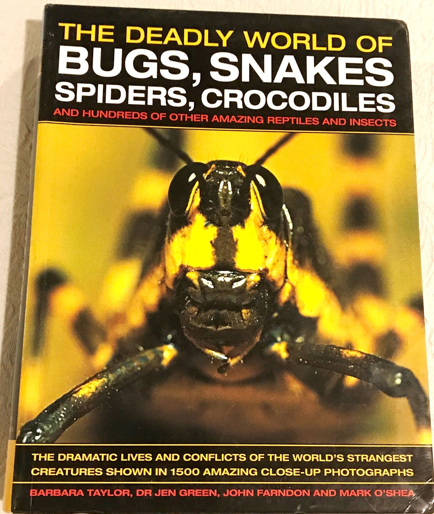 The Deadly World of Bugs, Snakes, Spiders, Crocodiles and Hundreds of Other Amazing Reptiles and Insects: The Dramatic Lives and Conflicts of the World's Strangest Creatures Shown in 1500 Amazing Close-Up Photographs