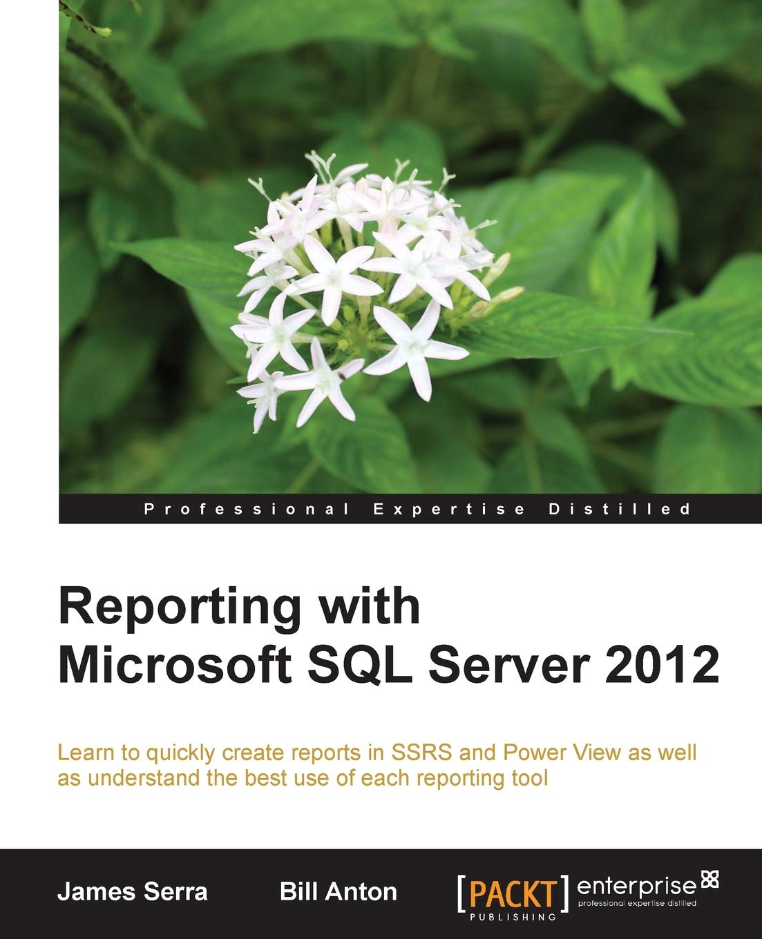 Reporting with Microsoft SQL Server 2012 (Professional Experience Distilled)