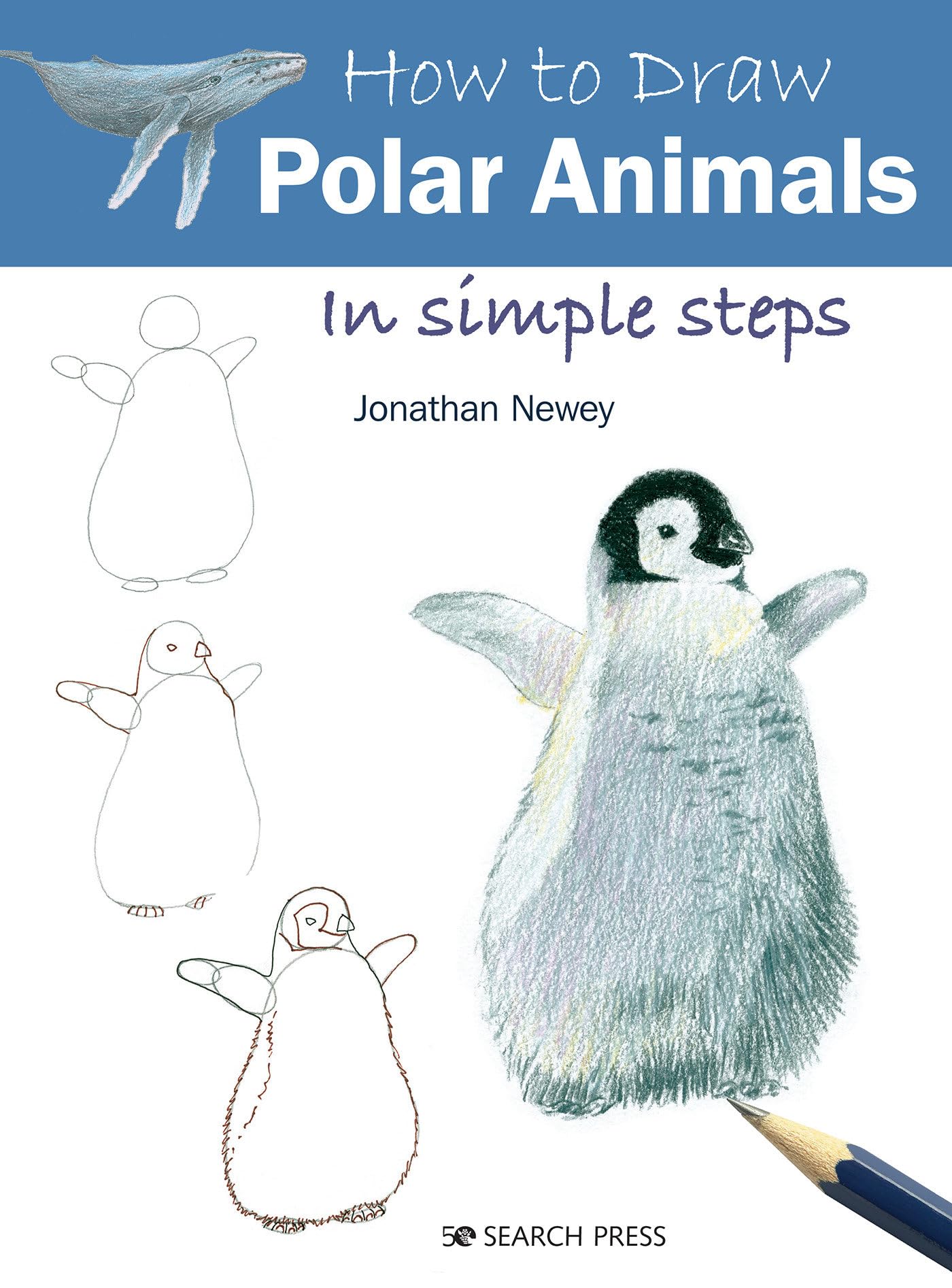 How to Draw Polar Animals in Simple Steps - 4694