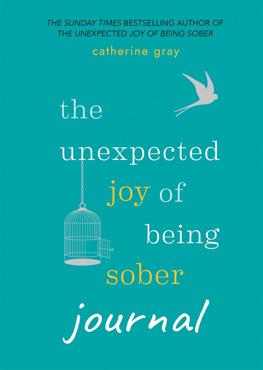 Unexpected Joy of Being Sober Journal - 5246