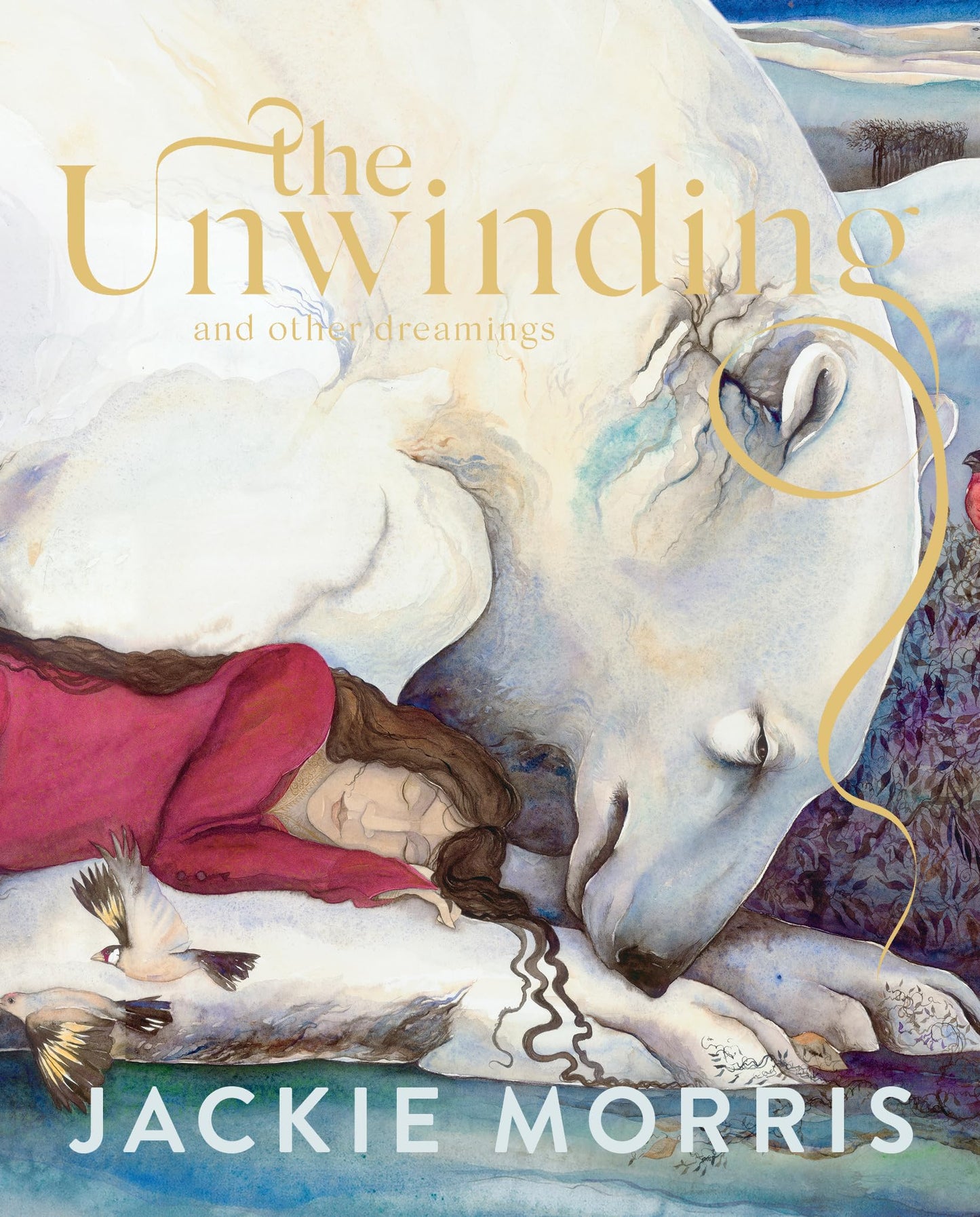 The Unwinding: and other dreamings - 9734