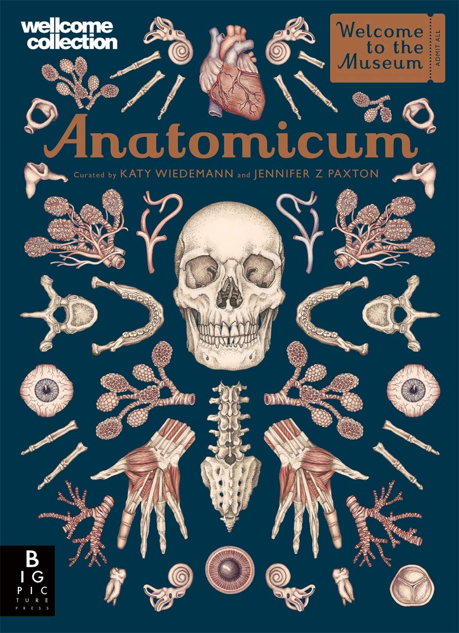 Anatomicum - 3057