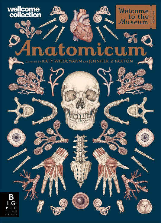 Anatomicum - 3057