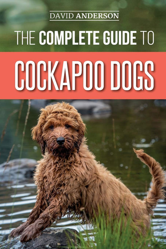 The Complete Guide to Cockapoo Dogs: Everything You Need to Know to Successfully Raise, Train, and Love Your New Cockapoo Dog