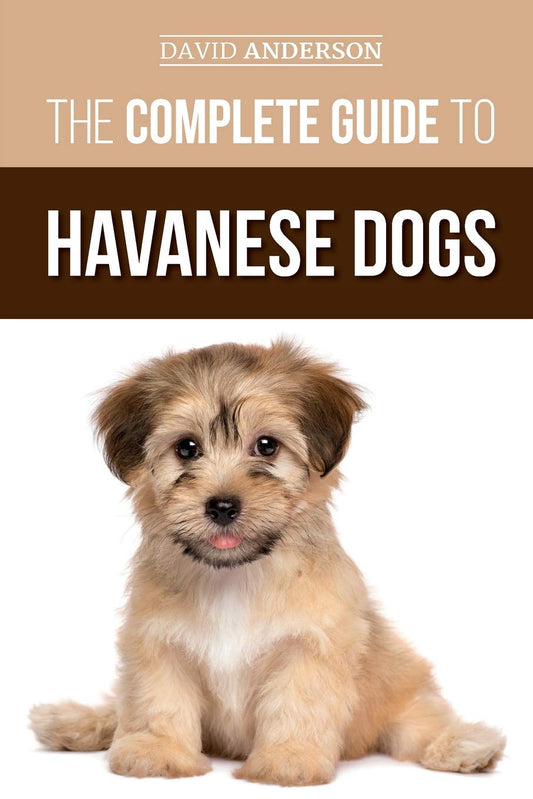 The Complete Guide to Havanese Dogs: Everything You Need To Know To Successfully Find, Raise, Train, and Love Your New Havanese Puppy - 9386