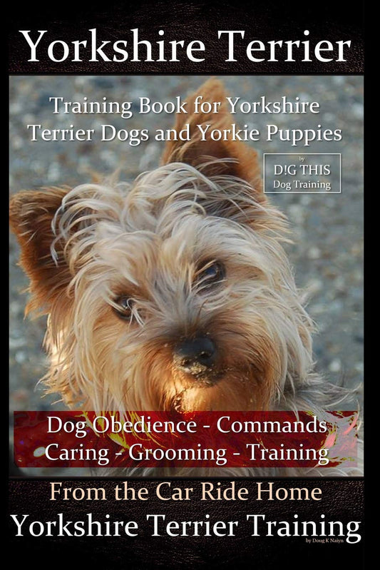 Yorkshire Terrier Training Book for Yorkshire Terrier Dogs and Yorkie Puppies By D!G THIS Dog Obedience – Commands - Caring - Grooming – Training: From the Car Ride Home Yorkshire Terrier Training - 3801