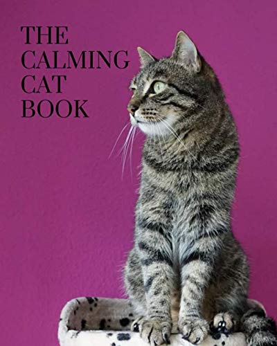 The Calming Cat Book: A colorful book for seniors with alzheimers or dementia. With many different breeds of cat animals in a big, large print for elderly people or patients to help them feel calm - 9956