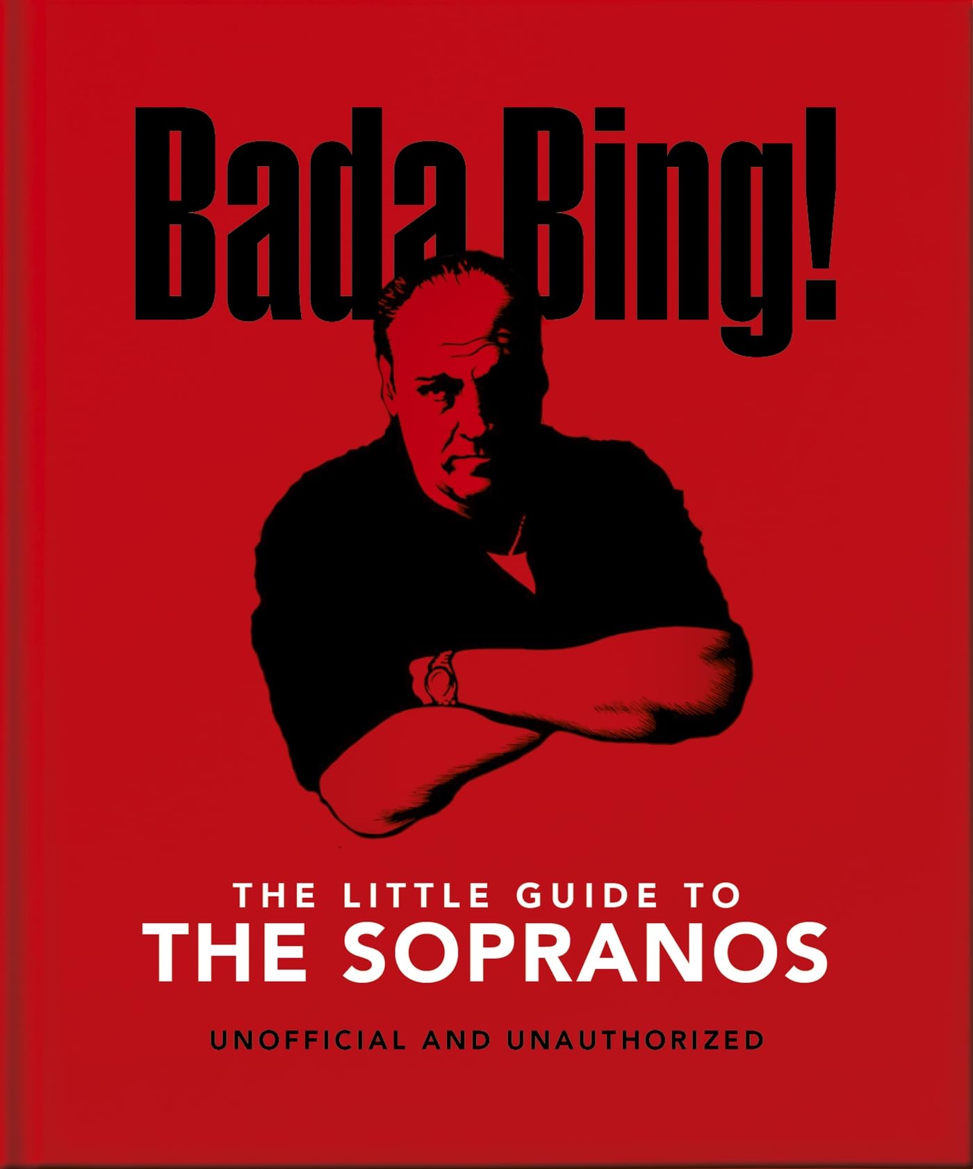 Bada Bing!: The Little Guide to The Sopranos: The only ones you can depend on (The Little Books of Film & TV, 13)