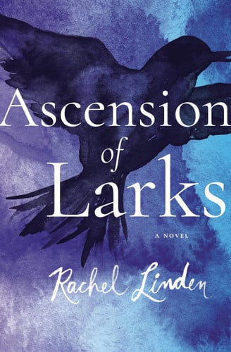 Ascension of larks