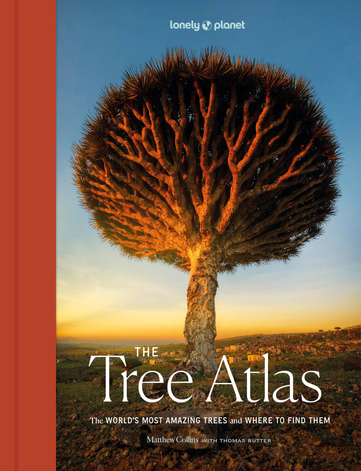 Lonely Planet The Tree Atlas: 50 Magnificent Species Across the Planet | Practical Travel Advice to See Each Natural Wonder | Exquisite Photography & Illustrations