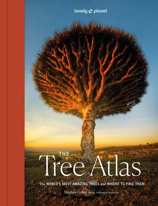 Lonely Planet The Tree Atlas: 50 Magnificent Species Across the Planet | Practical Travel Advice to See Each Natural Wonder | Exquisite Photography & Illustrations