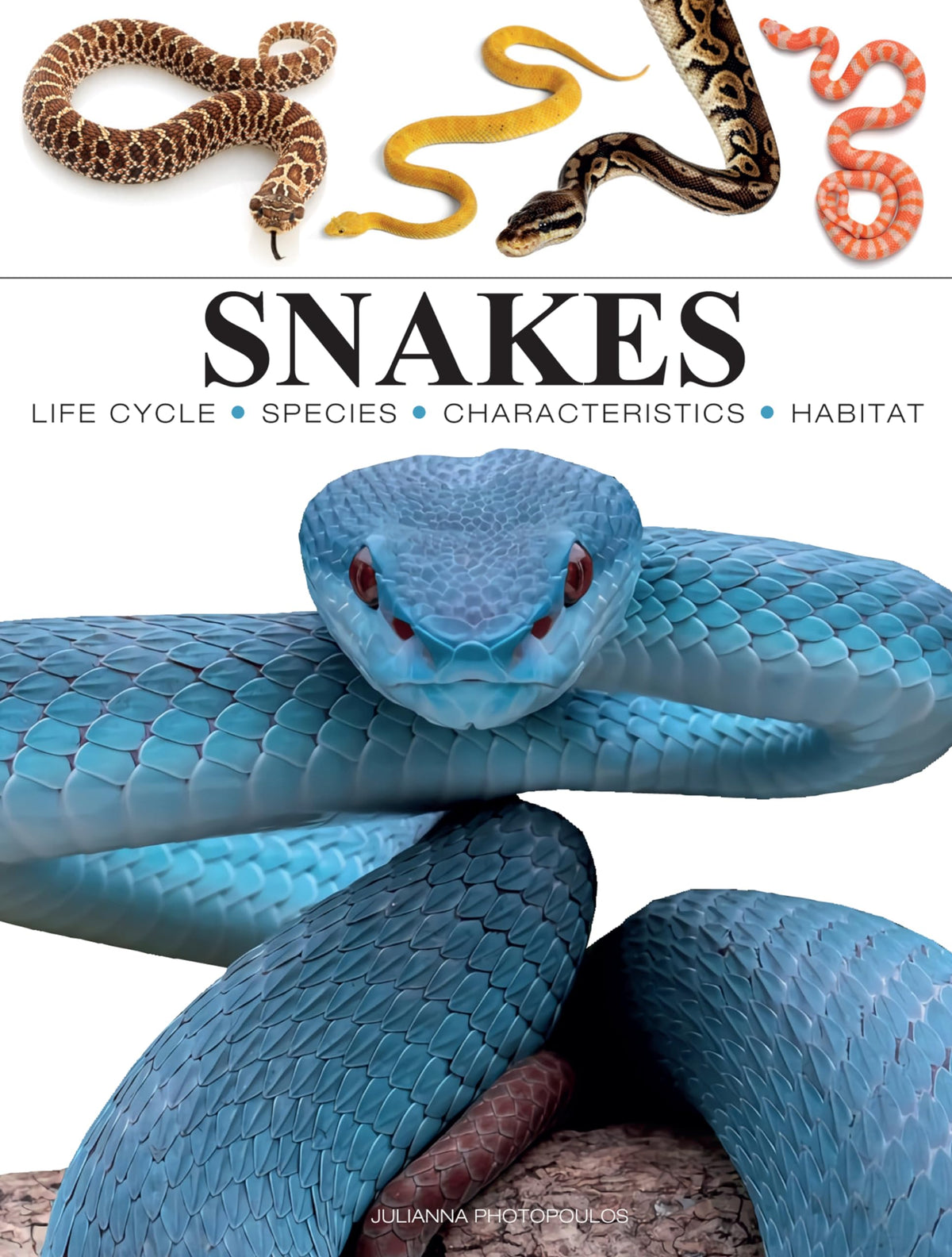 Snakes: From Vipers to Boa Constrictors (Mini Encyclopedias)