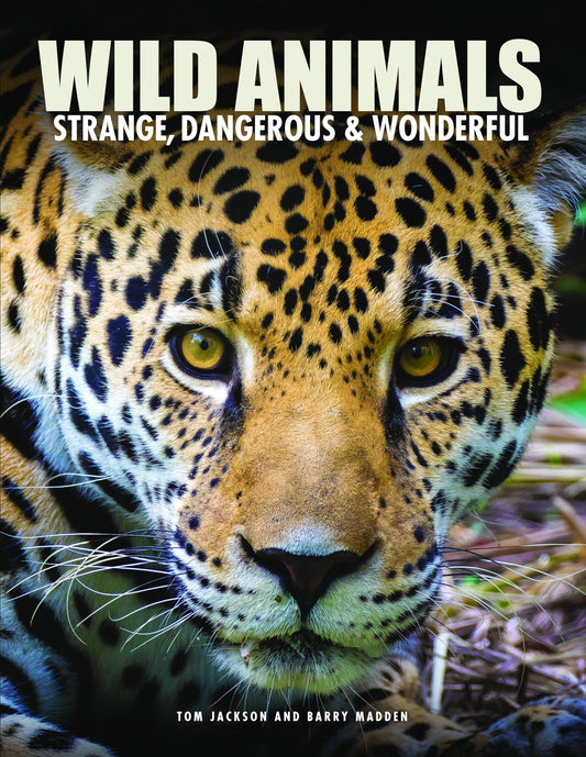 Wild Animals: Strange, Dangerous & Wonderful (Encyclopedias)