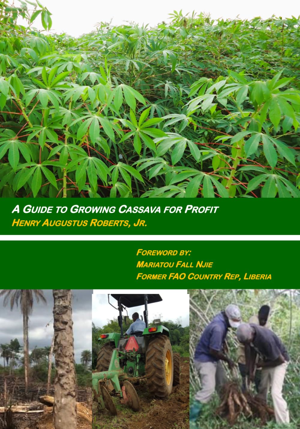 A Guide to Growing Cassava for Profit