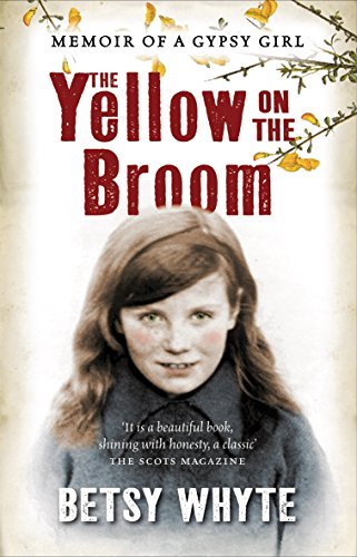 The Yellow on the Broom