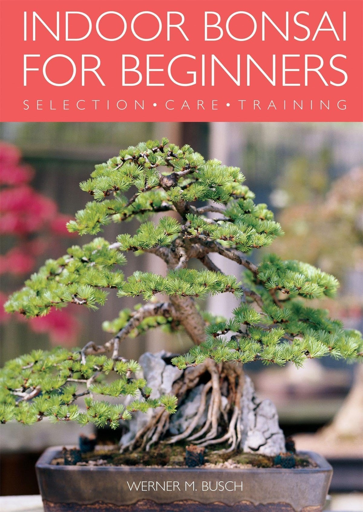 Indoor Bonsai for Beginners: Selection · Care · Training