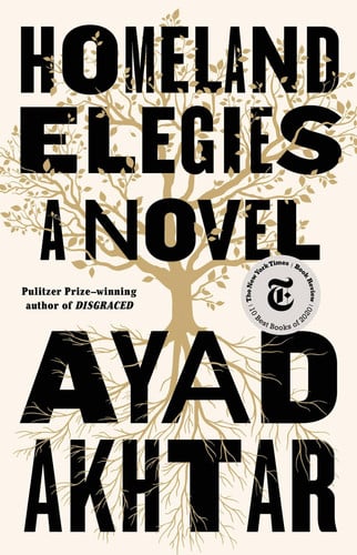 Homeland elegies: a novel