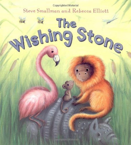 The Wishing Stone (Storytime