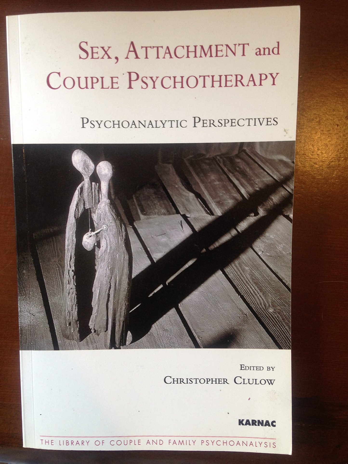 Sex, Attachment and Couple Psychotherapy (The Library of Couple and Family Psychoanalysis)