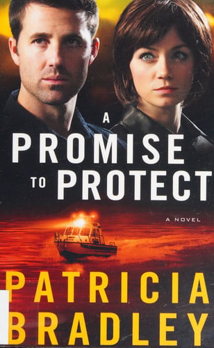 A promise to protect: a novel