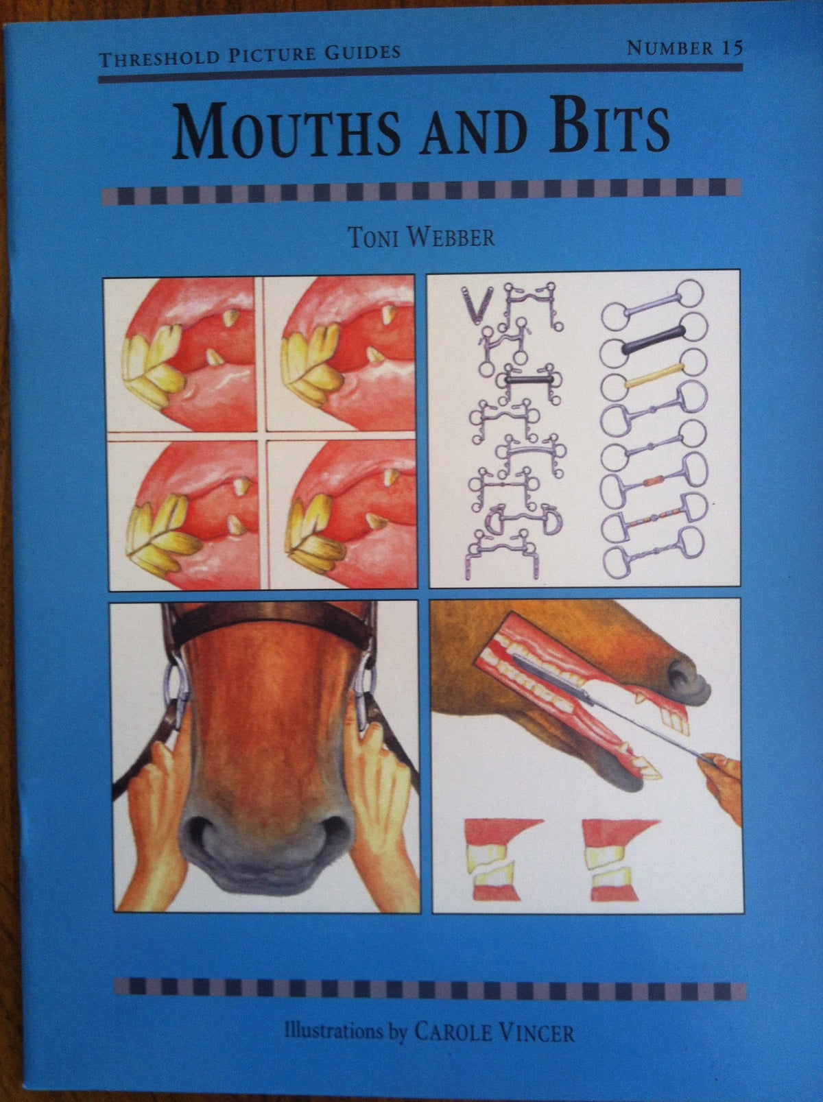 Mouths and Bits (Threshold Picture Guides)