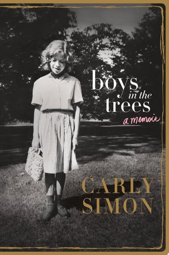 Boys in the Trees A Memoir