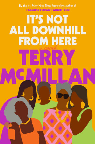 It's not all downhill from here: a novel