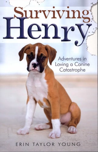 Surviving Henry: adventures in loving a canine catastrophe