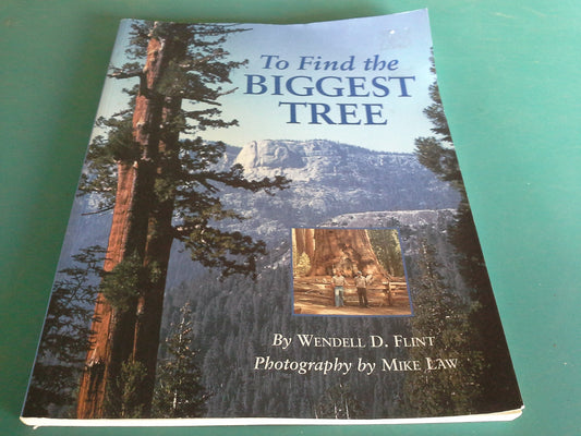 To Find the Biggest Tree - 3857