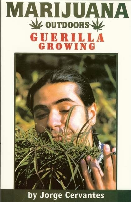 Marijuana Outdoors : Guerilla Growing - 4366