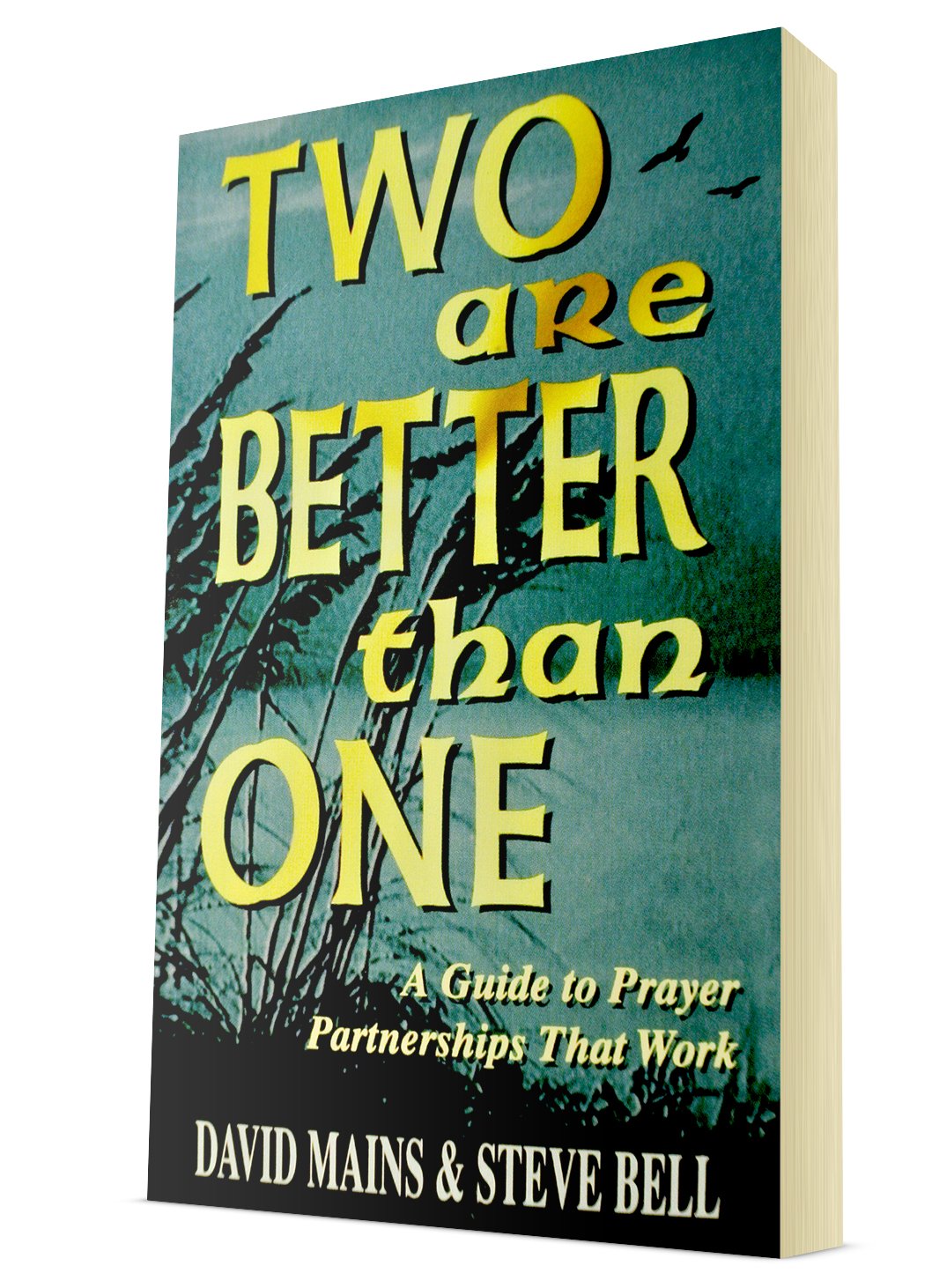 Two Are Better Than One: A Guide to Prayer Partnerships That Work
