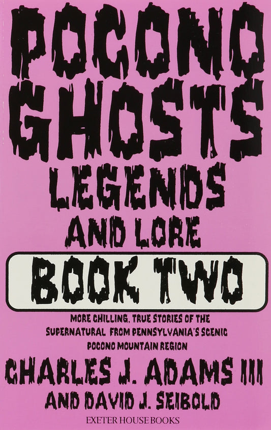 Pocono Ghosts : Book 2