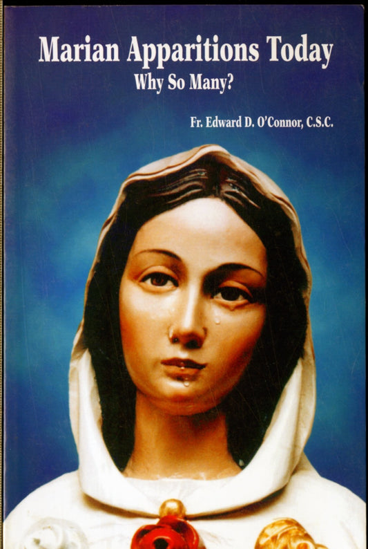 Marian Apparitions Today: Why So Many?
