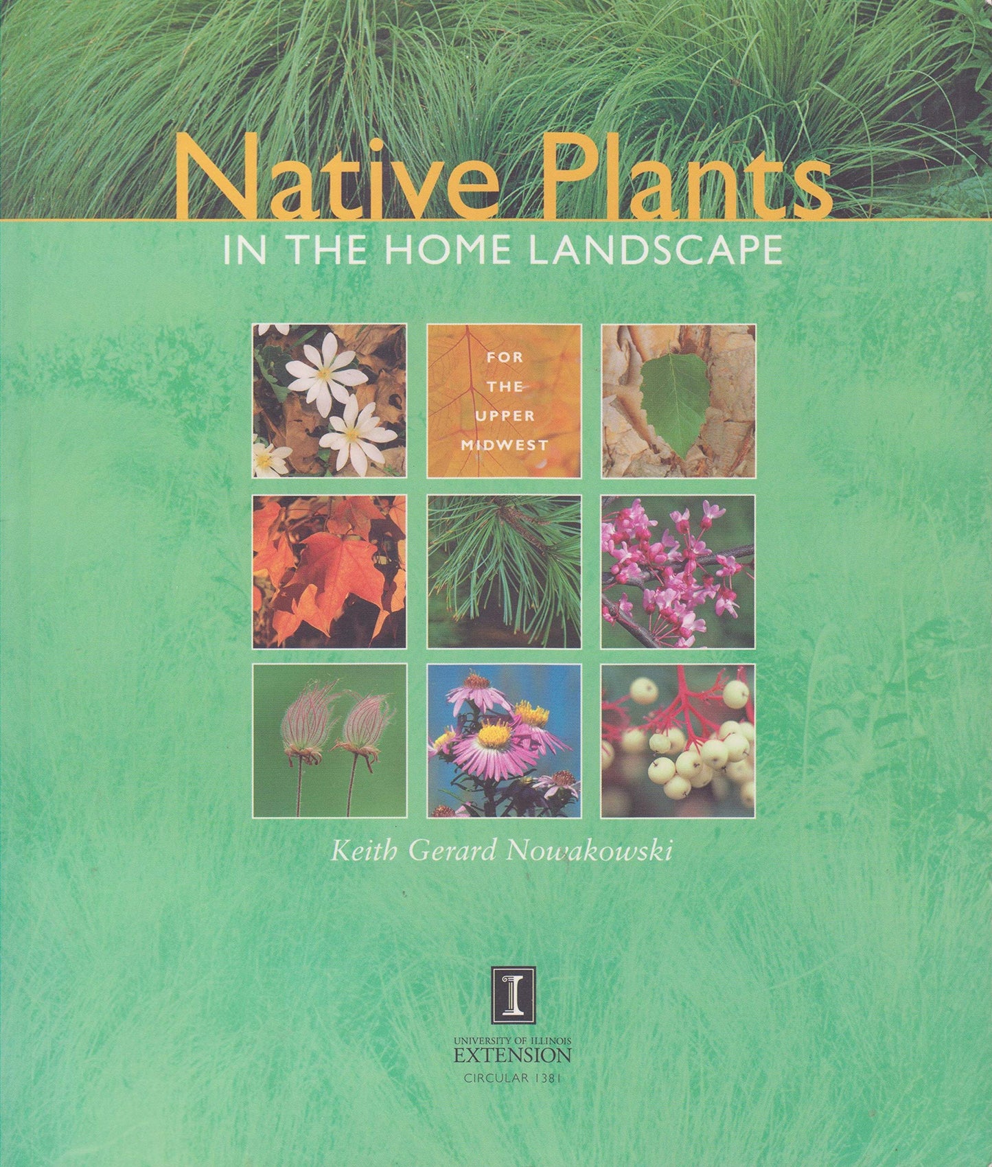NATIVE PLANTS IN THE HOME LANDSCAPE FOR THE UPPER MIDWEST