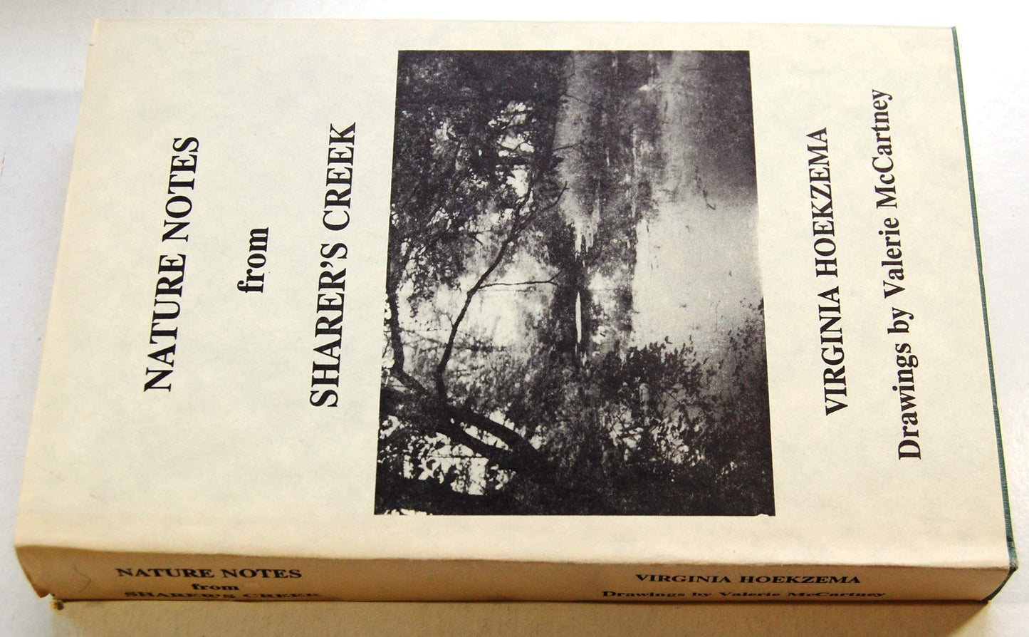 Nature notes from Sharer's Creek