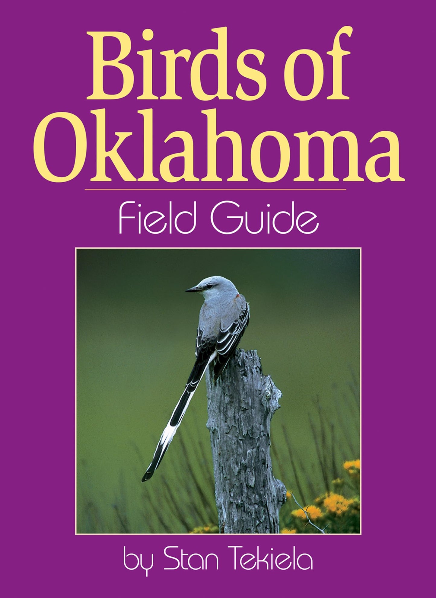 Birds of Oklahoma Field Guide (Bird Identification Guides) - 8771