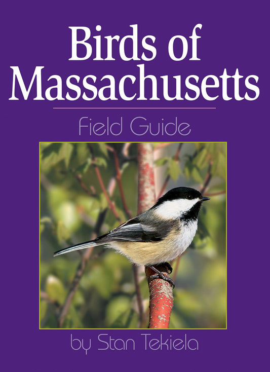 Birds of Massachusetts Field Guide - 4219