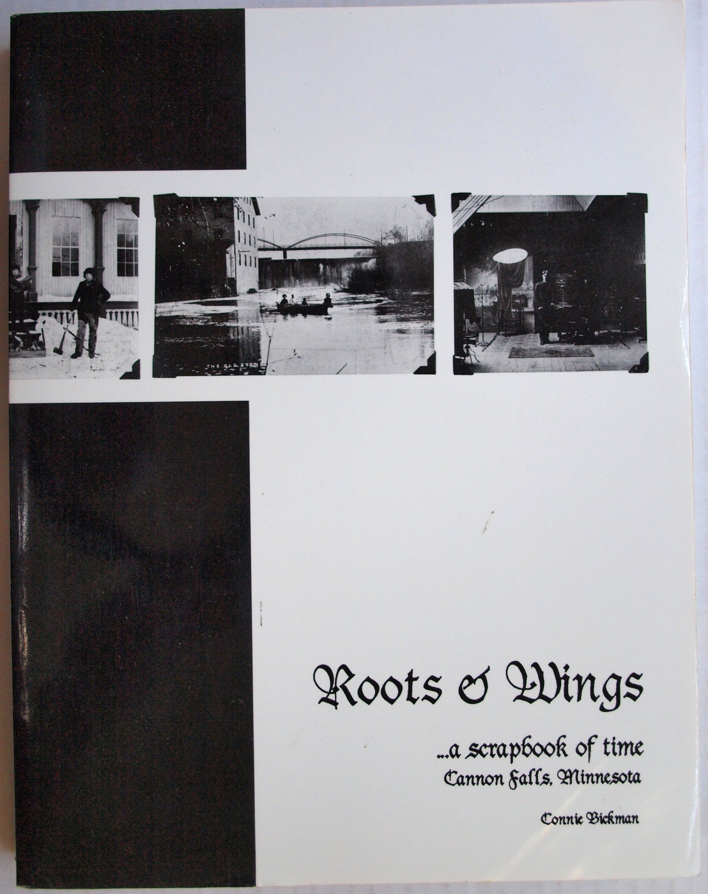 Roots and Wings : a scrapbook of time : Cannon Falls Minnesota