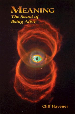 Meaning : The Secret of Being Alive