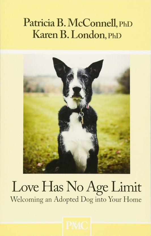 Love Has No Age Limit: Welcoming an Adopted Dog Into Your Home - 365