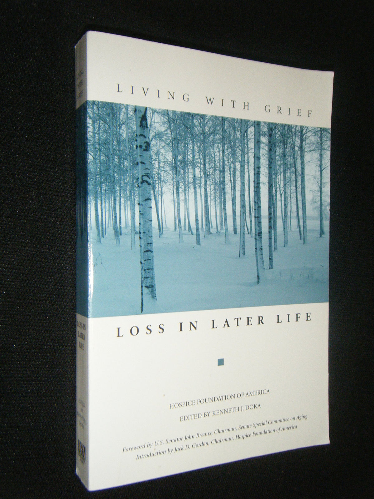 Living With Grief: Loss in Later Life