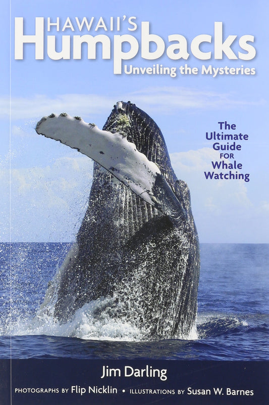 Hawaii's Humpbacks: Unveiling the Mysteries - 8037